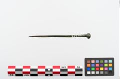 Foto von Kugelkopfnadel (NHMW-PRAE-024367)